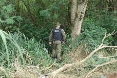 IMG_20251115_155209