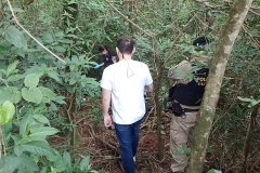 IMG_20251115_161145