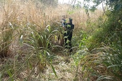 IMG_20250726_142739