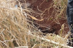 IMG_20250726_143412