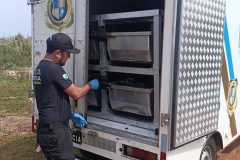 IMG-20250831-WA0119