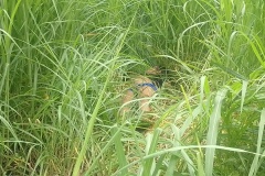 IMG_20231126_124544