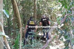 e23d3f6d-4550-447a-bd88-75d0a75c0262