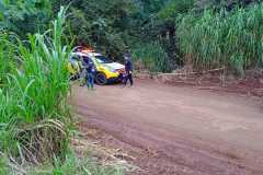 IMG-20260415-WA0133