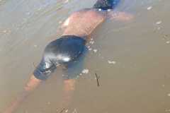 IMG-20251126-WA0025