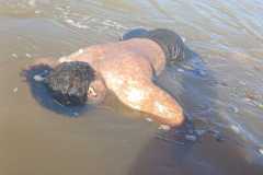 IMG-20251126-WA0026