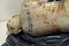 IMG-20251028-WA0292