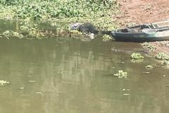 IMG-20260106-WA0172