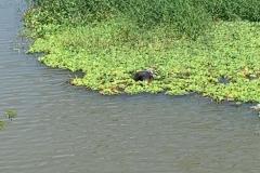 IMG-20260106-WA0174