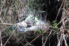 IMG-20250828-WA0018