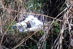 IMG-20250828-WA0023