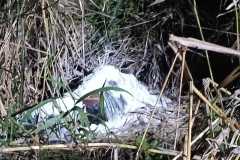 IMG-20250828-WA0024