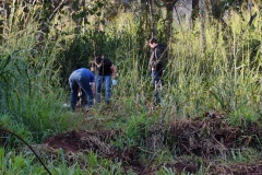 IMG_20260616_170317