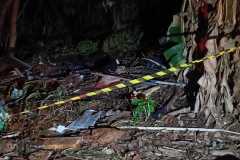 IMG-20260322-WA0338