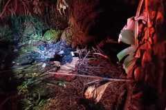 IMG-20260322-WA0341