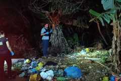 IMG-20260322-WA0344