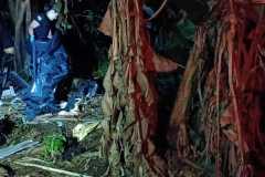 IMG-20260322-WA0350