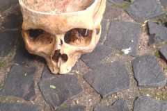 IMG-20251123-WA0047