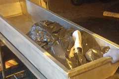 IMG-20250222-WA0134