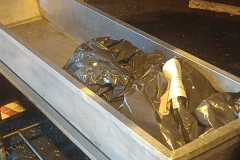 IMG-20250222-WA0135