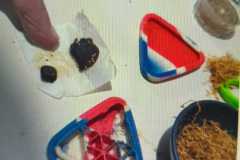 IMG-20260729-WA0020