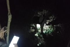 IMG_20250730_012949
