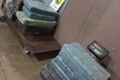 IMG-20260529-WA0237