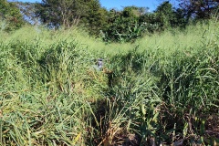 MVIMG_20260604_100442