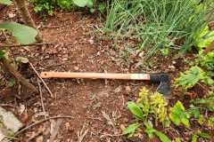 IMG-20250911-WA0063