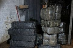 IMG-20260529-WA0018