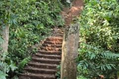 InFrame_1764498333850