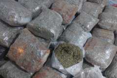 IMG-20250923-WA0090