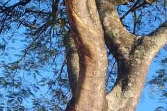 IMG-20250706-WA0291