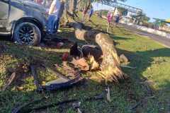 IMG-20250706-WA0293