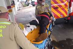 IMG-20260608-WA0087