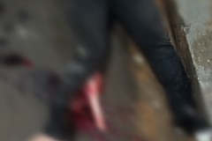 InFrame_1772124863757