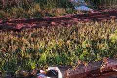 IMG-20260103-WA0567