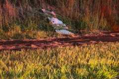 IMG-20260103-WA0568