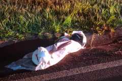 IMG-20260103-WA0569