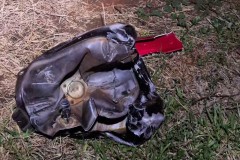 InFrame_1767497237702