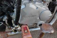 IMG-20260203-WA0151