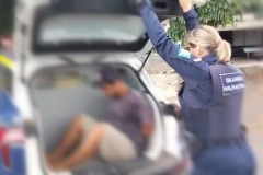 InFrame_1762366479583