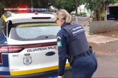 InFrame_1762366507178