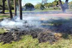 IMG-20250505-WA0215