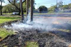 IMG-20250505-WA0216