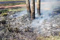 IMG-20250505-WA0217