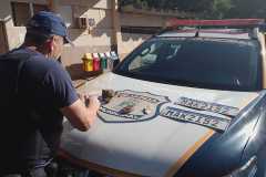 IMG-20250417-WA0003