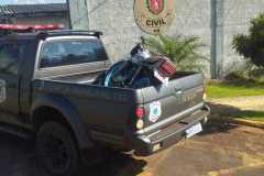 IMG-20240427-WA0197