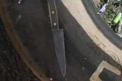 21a593f5-961d-4e91-bae4-b2ebbc584e7e