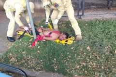 IMG-20260121-WA0332